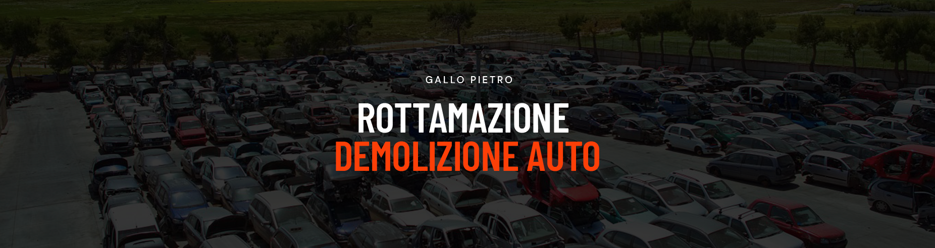 ricambipro.it